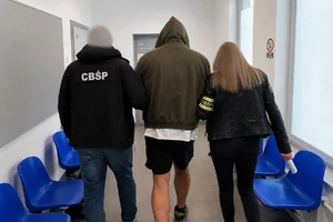CBŚP rozbiło gang złodziei samochodów. Łupy trafiały do Polski — zdjęcie 7