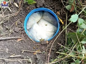 12 kg narkotyków zakopanych w ziemi. Mężczyzna tymczasowo aresztowany — zdjęcie 7