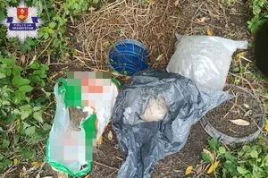12 kg narkotyków zakopanych w ziemi. Mężczyzna tymczasowo aresztowany — zdjęcie 8