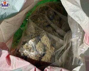 12 kg narkotyków zakopanych w ziemi. Mężczyzna tymczasowo aresztowany — zdjęcie 9
