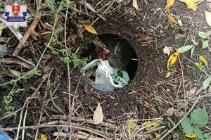 12 kg narkotyków zakopanych w ziemi. Mężczyzna tymczasowo aresztowany — zdjęcie 10