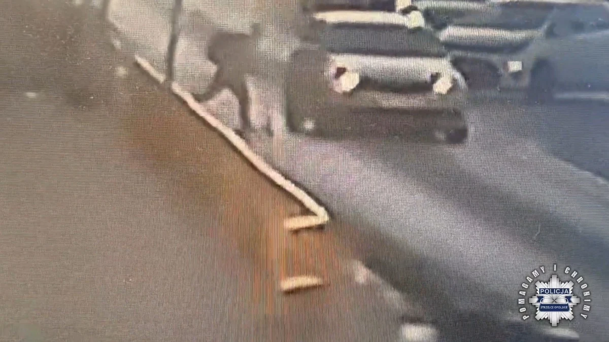 Nastolatek na hulajnodze zderzył się z autem na przejściu