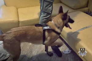 Wałbrzych: 2 kg narkotyków i nielegalne papierosy. Trzy osoby zatrzymane — zdjęcie 7