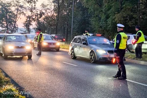 Poranek z alkomatem w Gorzowie Wlkp. – trzy osoby zatrzymane — zdjęcie 10
