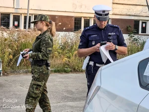Ponad 100 taksówek i aut na aplikacje skontrolowanych przez służby — zdjęcie 8