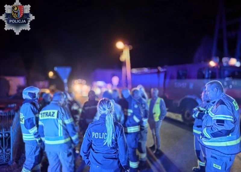 80-latka zaginęła w lesie podczas grzybobrania. Służby ją odnalazły