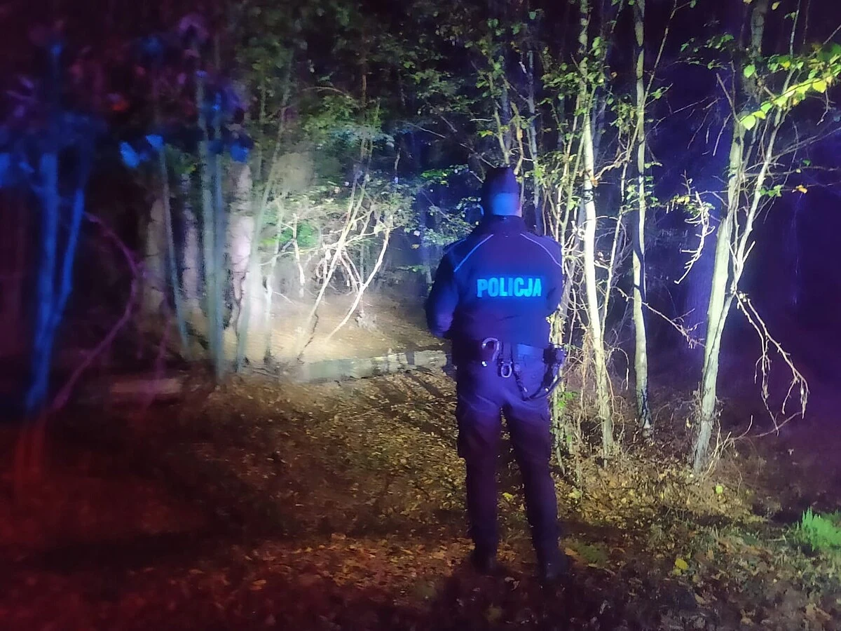 Nocne poszukiwania w lesie koło Kobióra