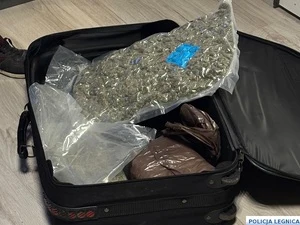 Narkotyki, broń i linia do produkcji metamfetaminy – wspólna akcja policji i Straży Granicznej — zdjęcie 7