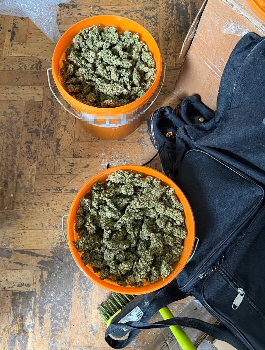 85 kg narkotyków w mieszkaniu. Dwaj gdańszczanie za kratami — zdjęcie 11