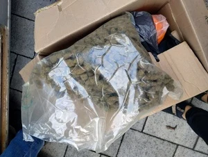 Ponad 7 kg narkotyków w kartonach. Dwaj gdańszczanie trafili do aresztu — zdjęcie 7