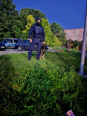 6 zatrzymanych podczas meczu GKS 62 Jastrzębie – WS Odra Wodzisław Śląski — zdjęcie 10