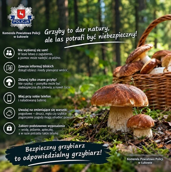Szczęśliwy finał poszukiwań zagubionego grzybiarza