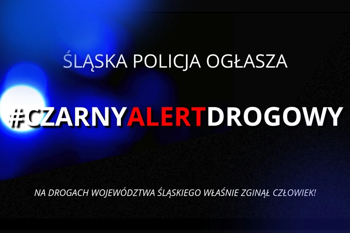 Śmiertelny wypadek między Włodowicami a Rzędkowicami
