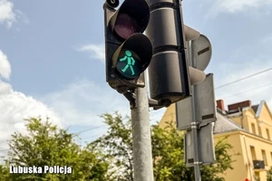 Lubuscy policjanci sprawdzali bezpieczeństwo pieszych na drogach — zdjęcie 9