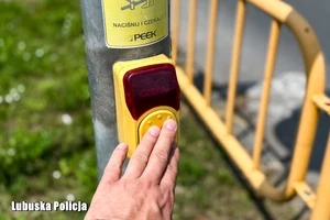 Lubuscy policjanci sprawdzali bezpieczeństwo pieszych na drogach — zdjęcie 11