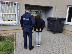Akcja "Poszukiwany": 132 zatrzymanych, 10 deportowanych — zdjęcie 7