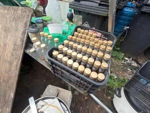 Zepsuta żywność, alkohol i truchła gryzoni. 68-latek zatrzymany w gminie Zagnańsk — zdjęcie 7