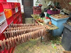 Zepsuta żywność, alkohol i truchła gryzoni. 68-latek zatrzymany w gminie Zagnańsk — zdjęcie 12