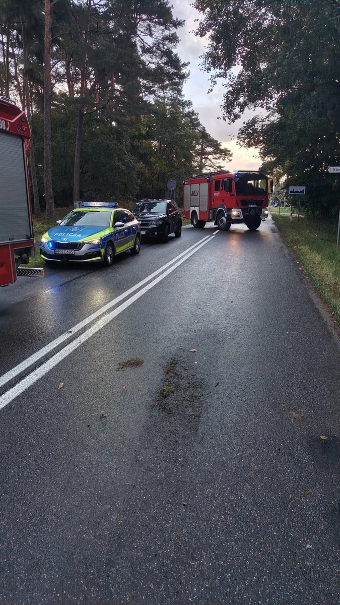 Pijany kierowca potrącił nastolatka w Stegnie. Trafił za kratki