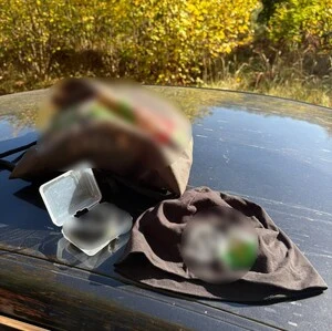 Udaremniona ustawka pseudokibiców w powiecie łódzkim wschodnim — zdjęcie 8