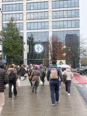 „Mistrzu, uważaj" – Policja i PZU apelują o ostrożność pieszych — zdjęcie 10