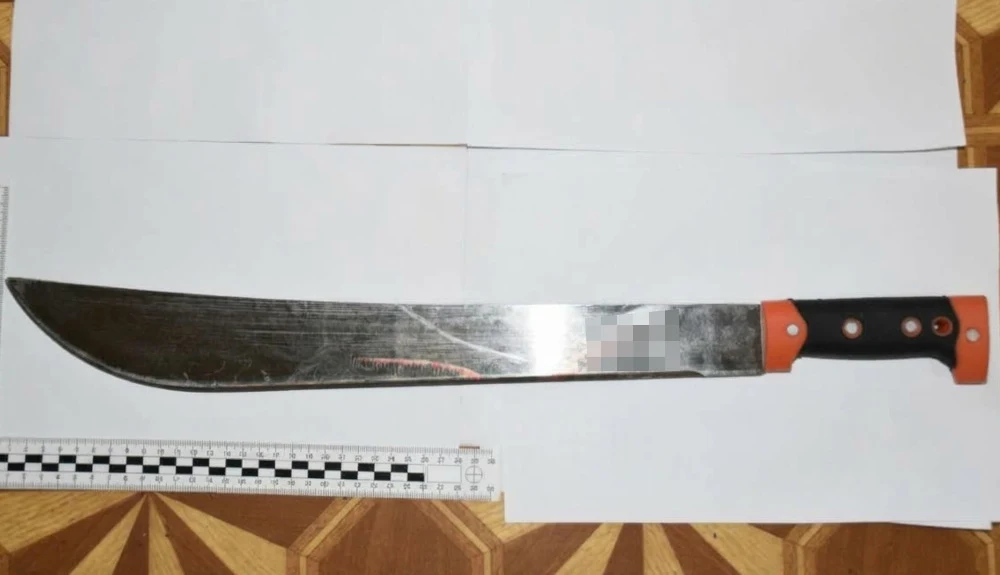 Atak maczetą na sąsiada. 44-latek trafił do aresztu na 3 miesiące
