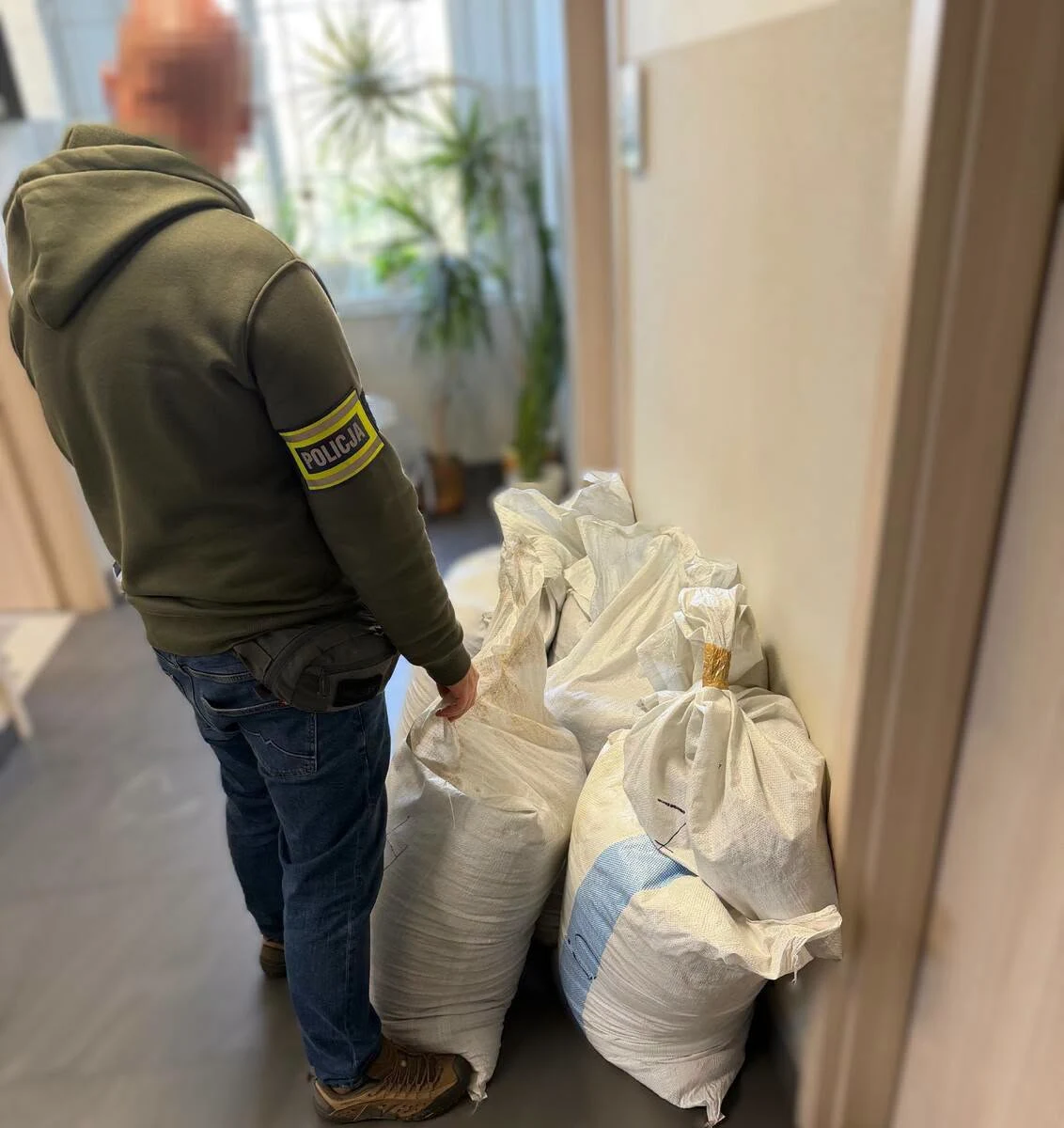 91,5 kg krajanki tytoniowej bez akcyzy. 77-latek z Torunia przed sądem