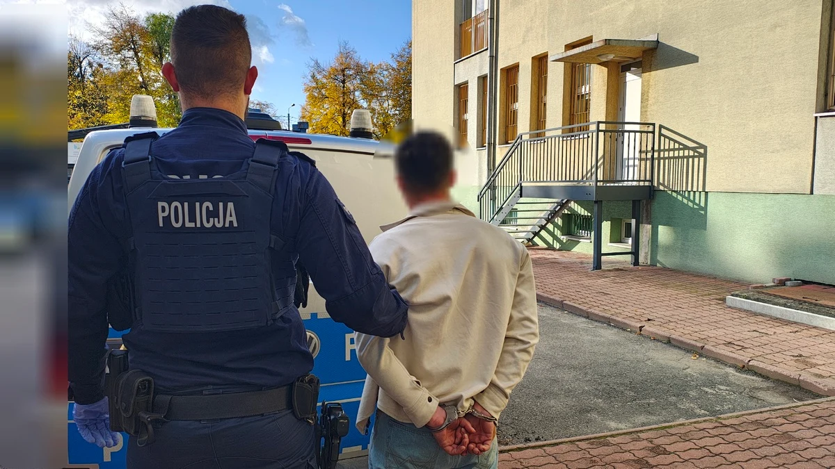 Kolizja na S8 ujawniła nielegalny pobyt dwóch Gruzinów