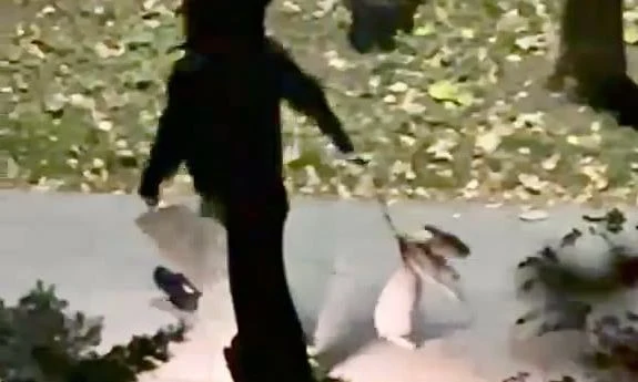 Znęcał się nad psem – 52-latek zatrzymany przez gdańską policję