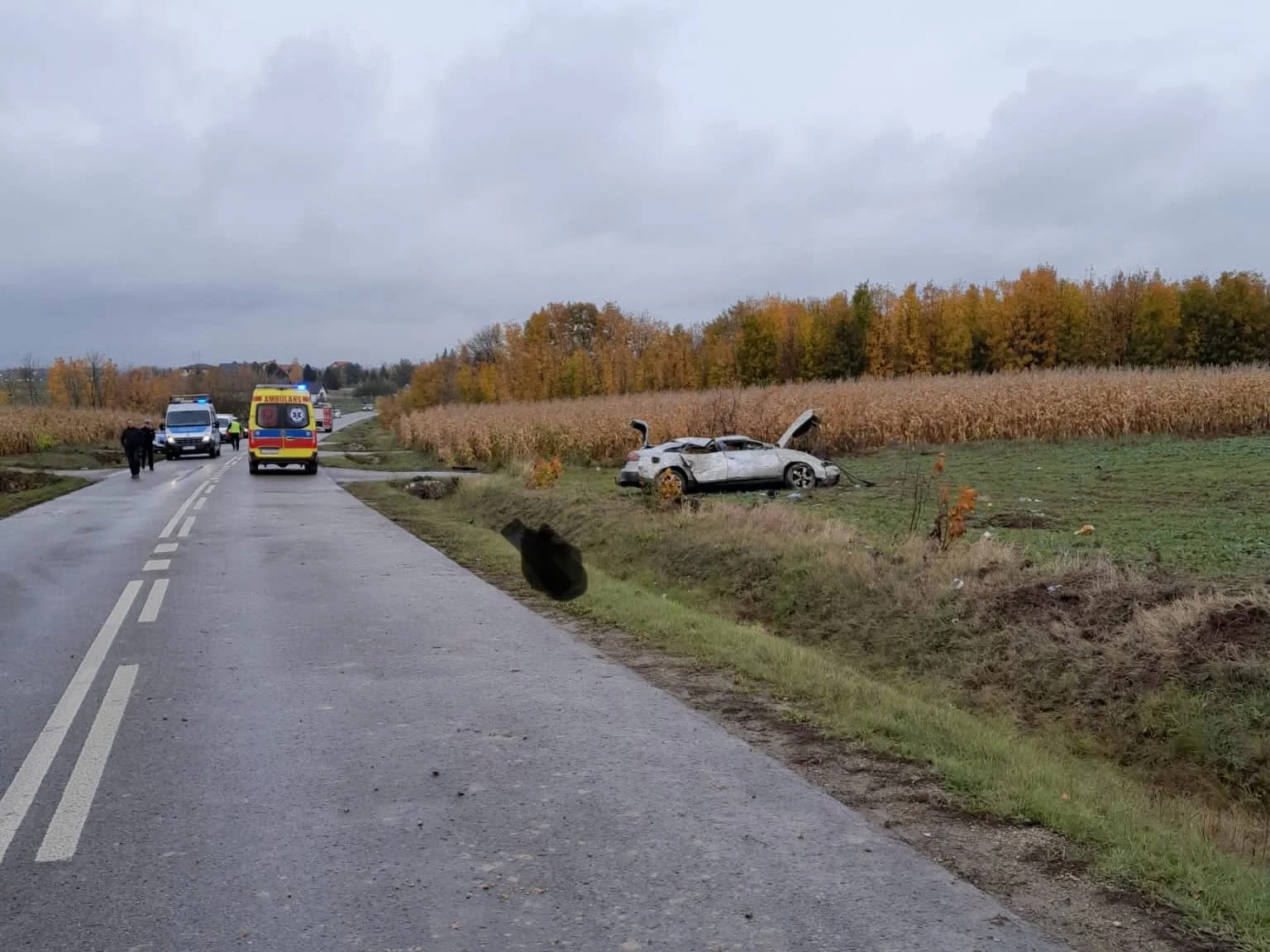Tragiczny wypadek na trasie Skrzynice – Dominów. Zginął kierowca audi