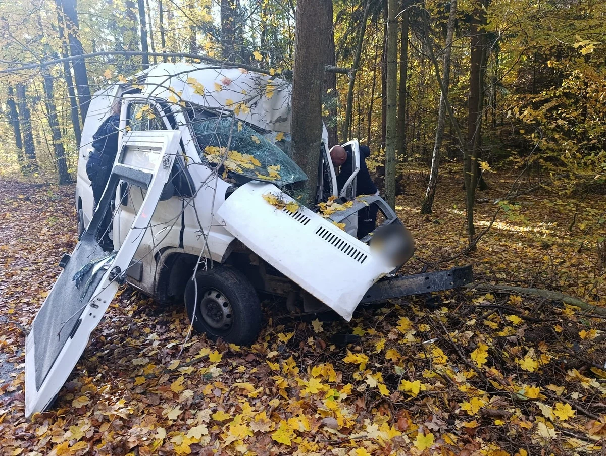 Pijany kierowca busa uciekał przed policją i uderzył w drzewo