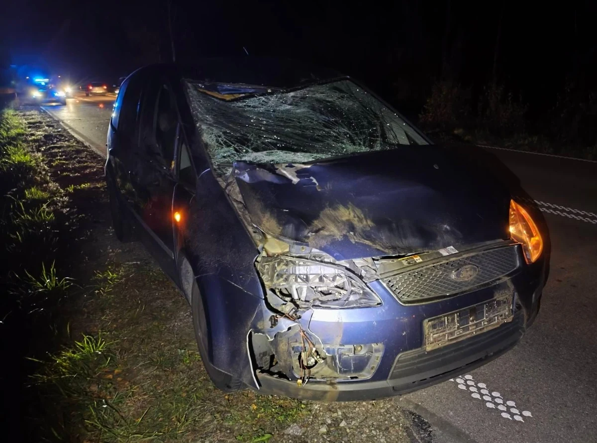 Trzy kolizje ze zwierzyną w dwa tygodnie. Policja ostrzega kierowców