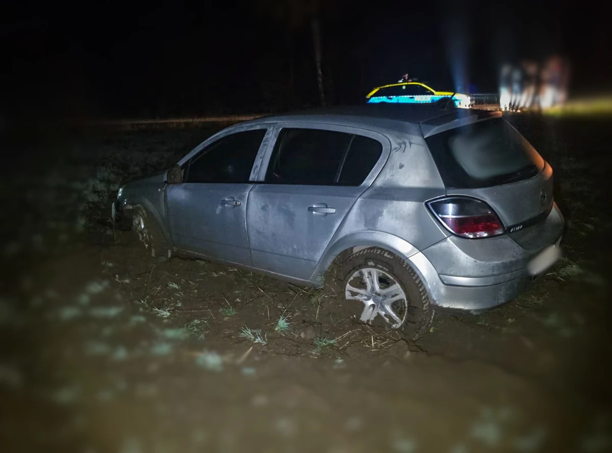 Pijany kierowca wjechał na łąkę – miał zakaz i 1,5 promila